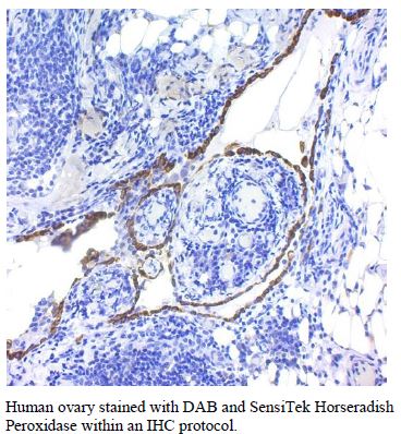 SensiTek Horseradish Peroxidase