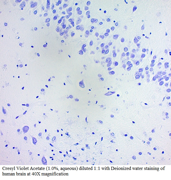 Cresyl Echt Violet (1.0%, Aqueous)