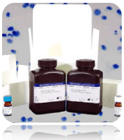 Blue Feulgen DNA Ploidy Analysis Staining Kit