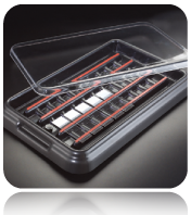 Stain Tray Slide Staining System