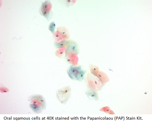 Papanicolaou (PAP) Stain Kit