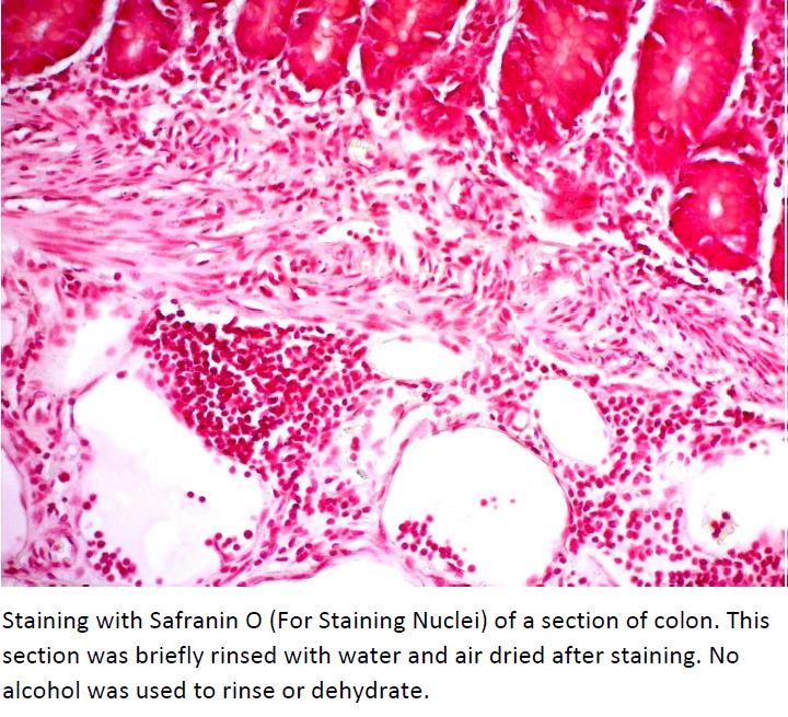 Safranin O Solution (For Staining Nuclei)